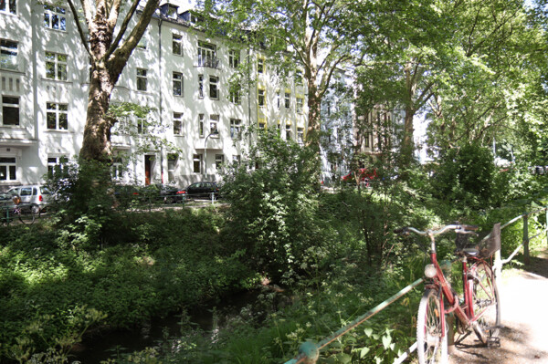 Die Düssel vor Ihrer Haustür