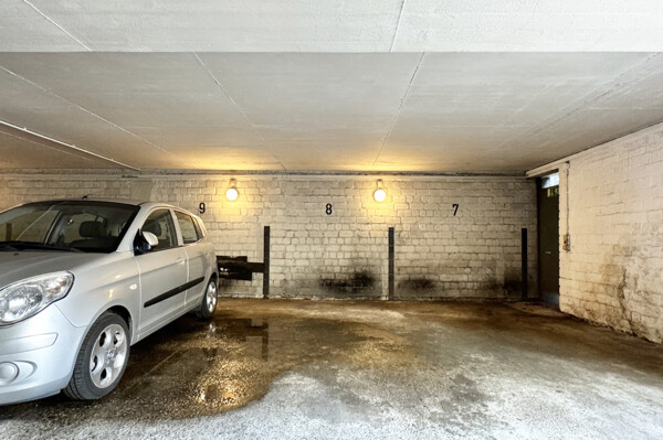 Stellplatz Nr. 8