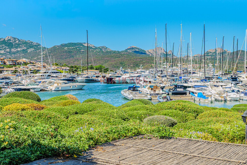 App.PuntaLepre2_WEB-004