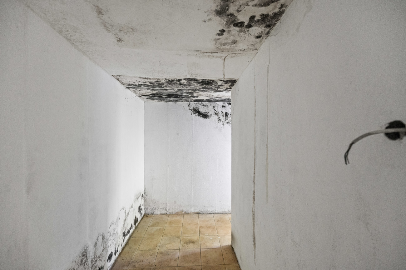 Wohnung Erdgeschoss