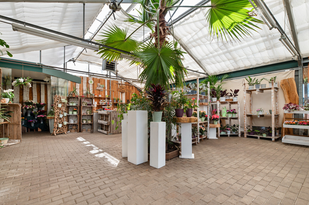 Café Blumenladen III
