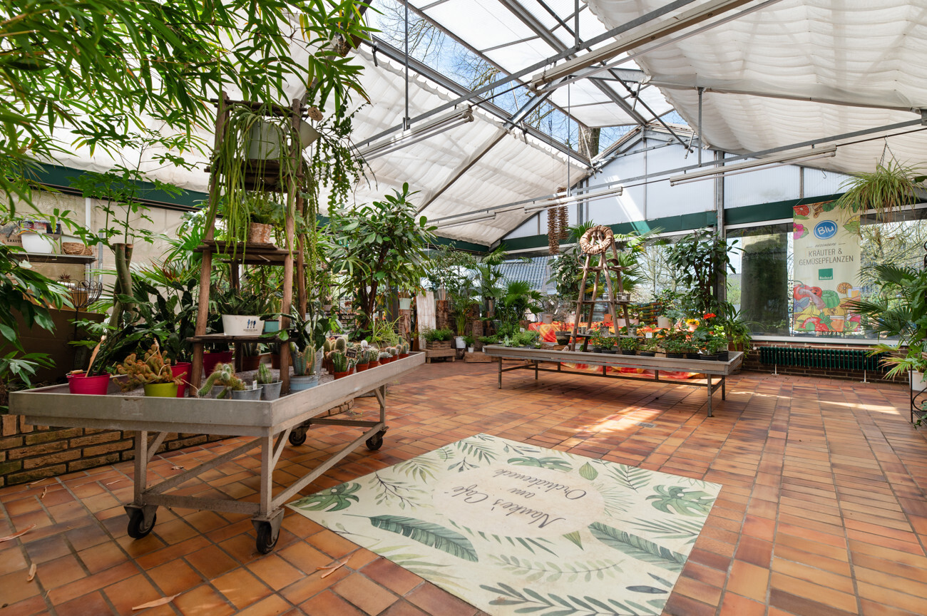 Café Wintergarten III