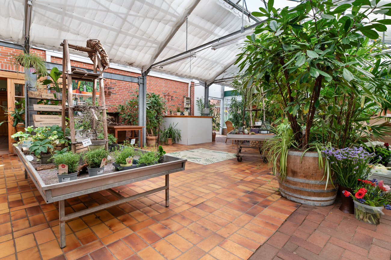 Café Wintergarten II