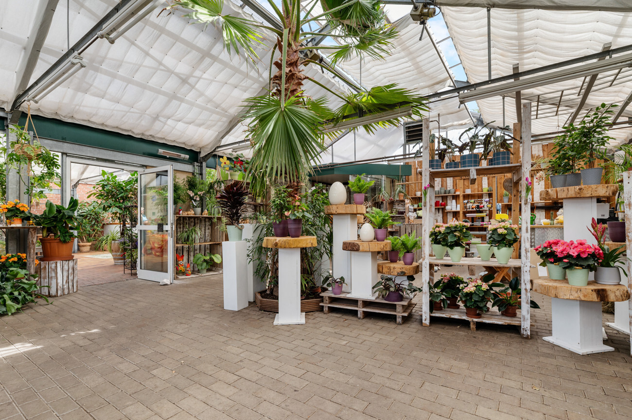 Café Blumenladen IV