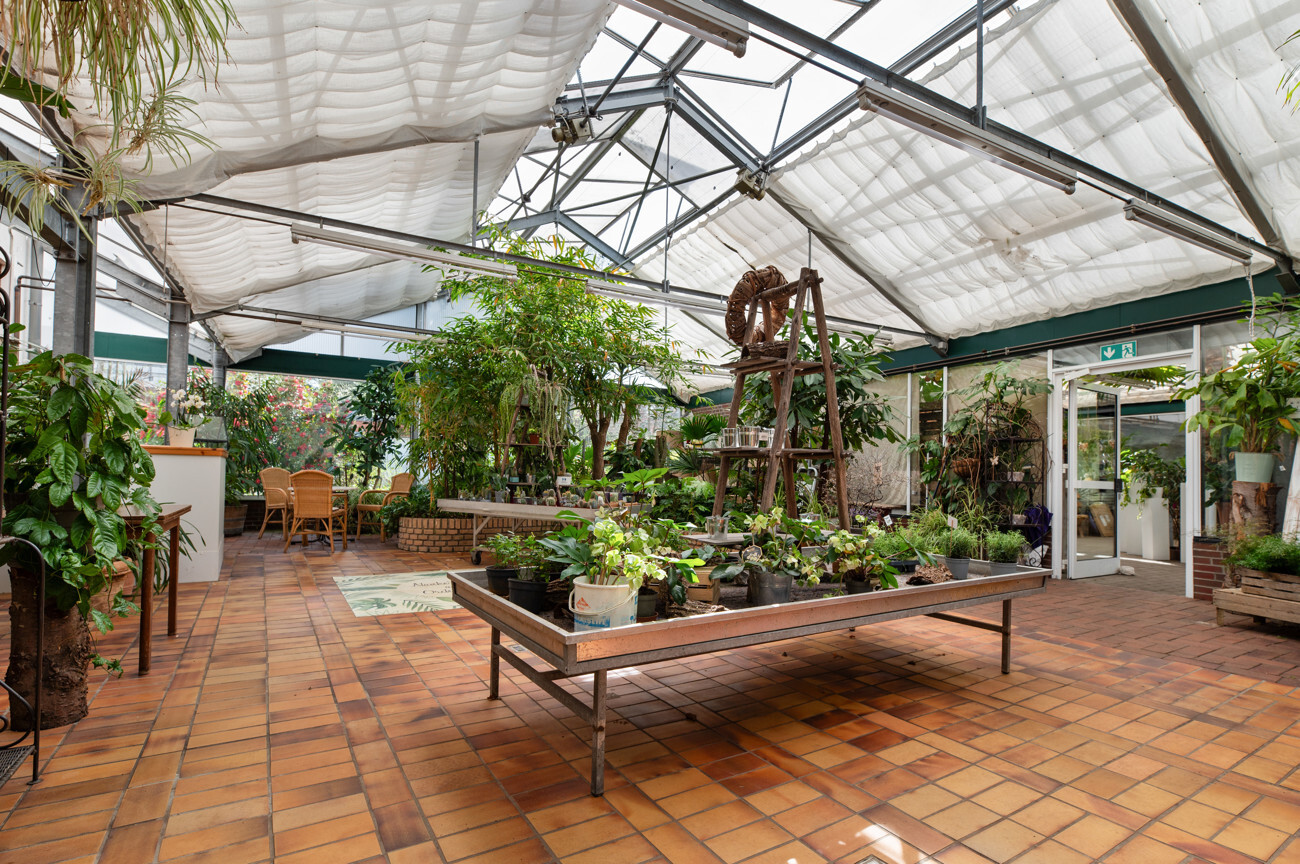 Café Wintergarten I