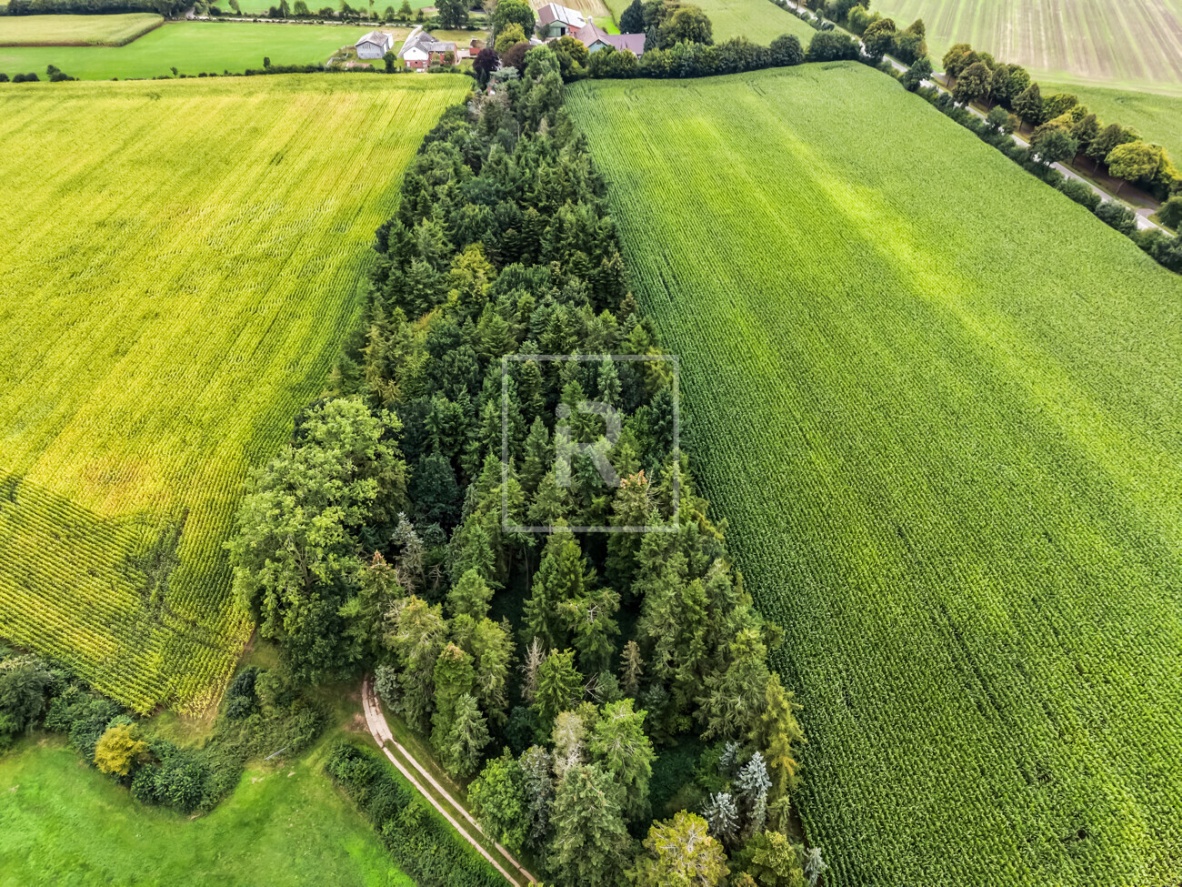 Drohnenansicht Süd