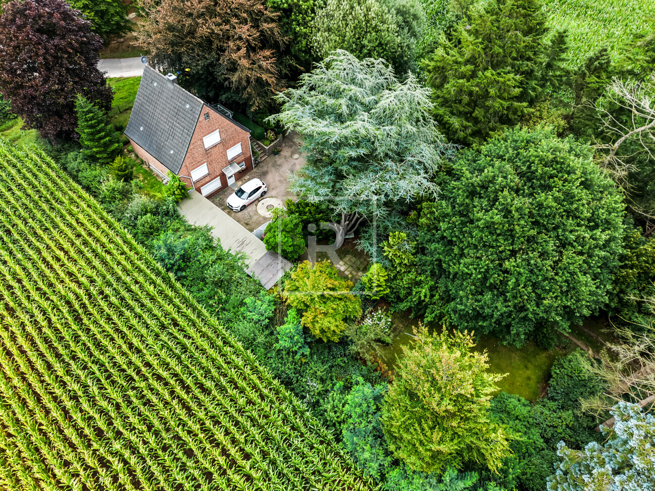 Drohnenansicht Garten