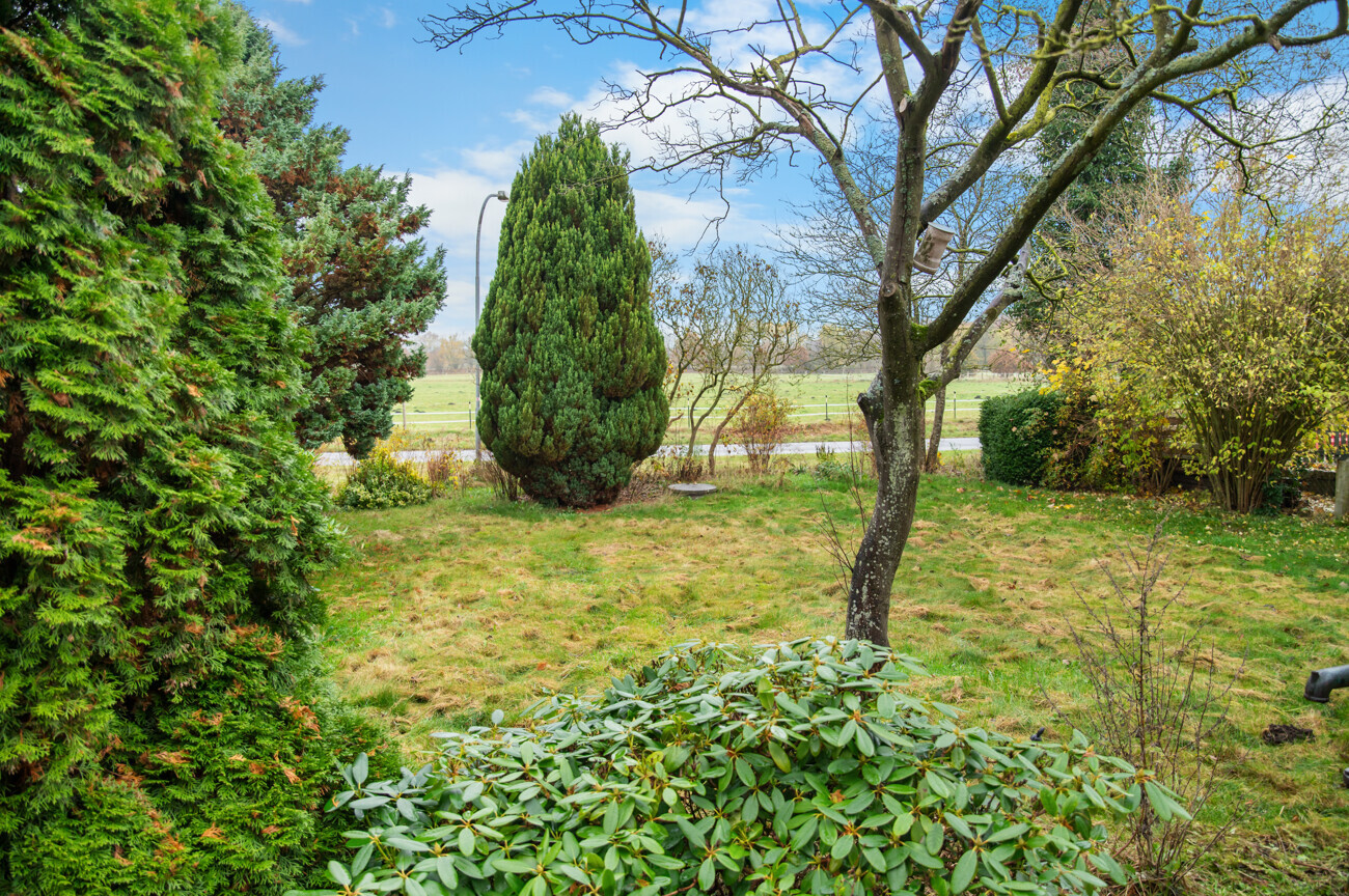 Vorgarten mit Blick auf Pferdekoppel