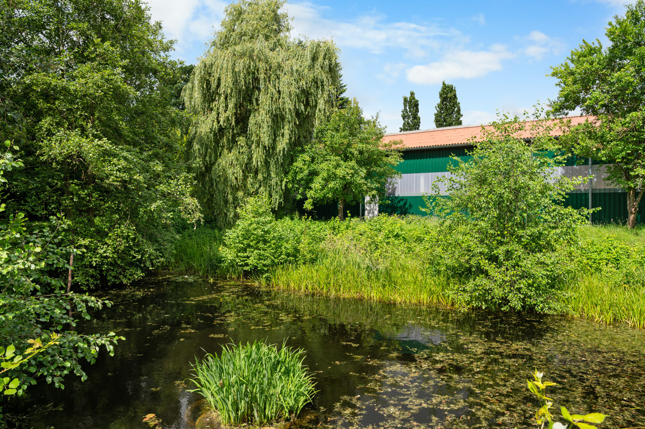 Gartenteich