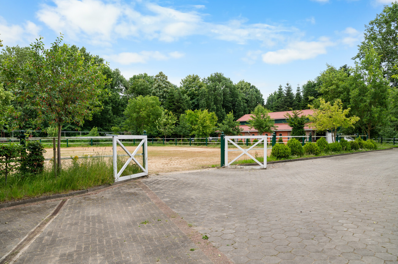 Zugang Reitplatz