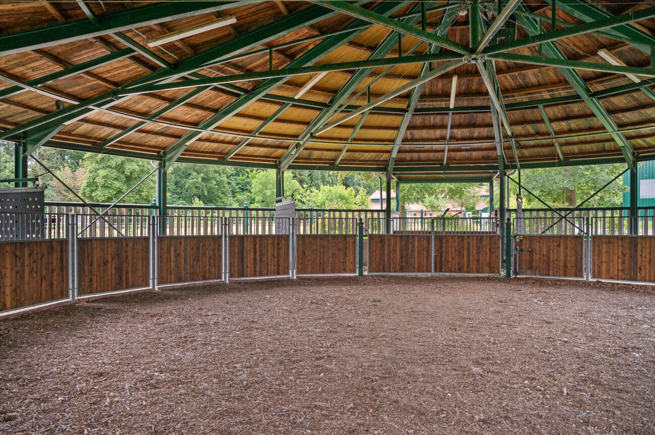 Longierhalle