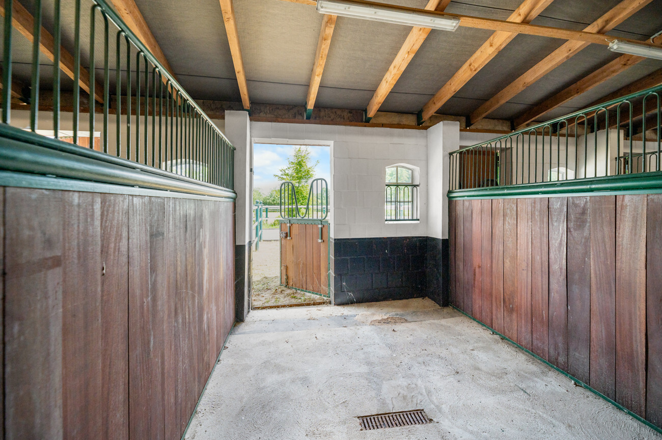 Box mit Paddock