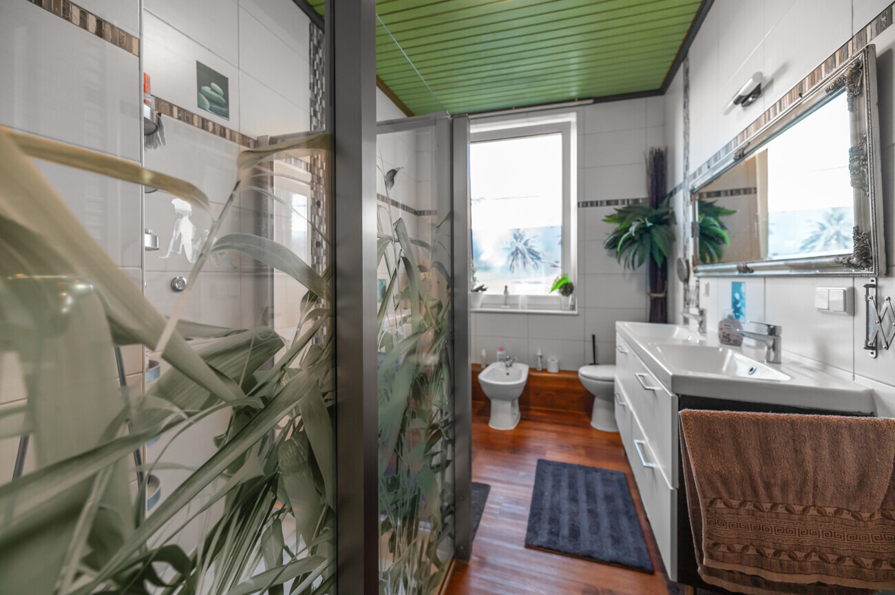 Duschbad Ansicht I OG I