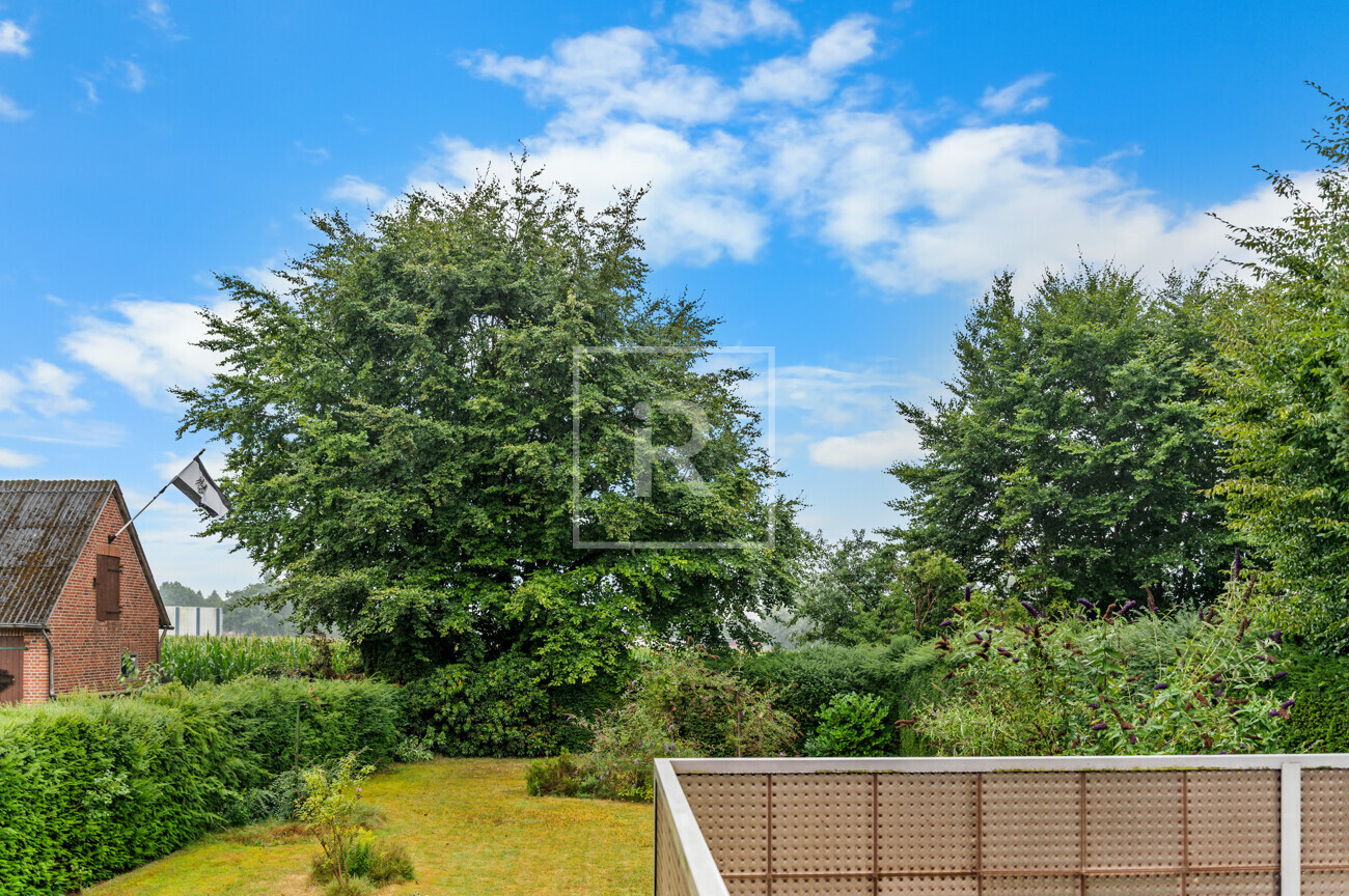 Blick in den Garten