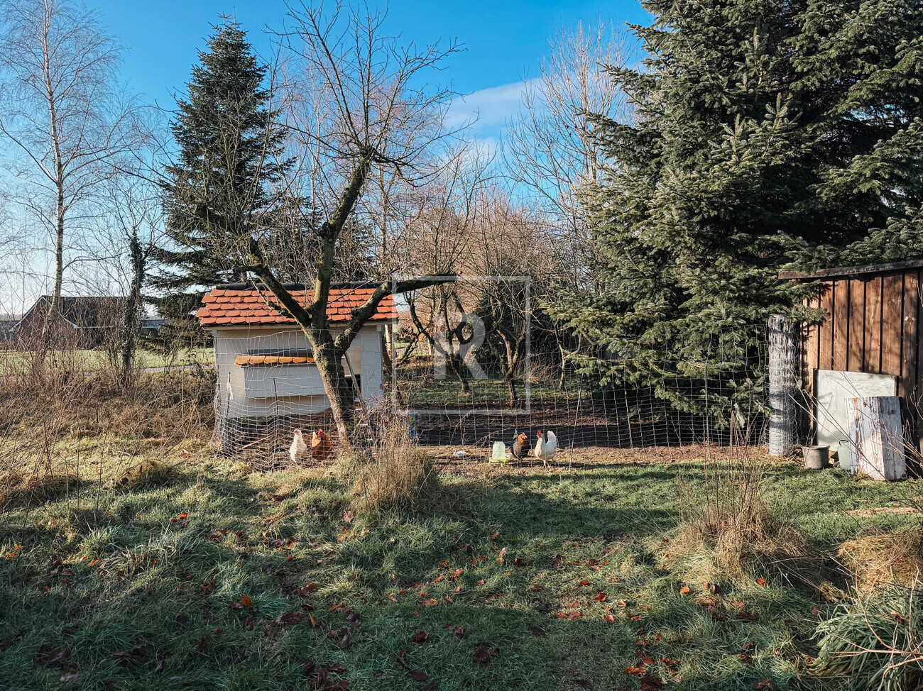 Gartenbild 1