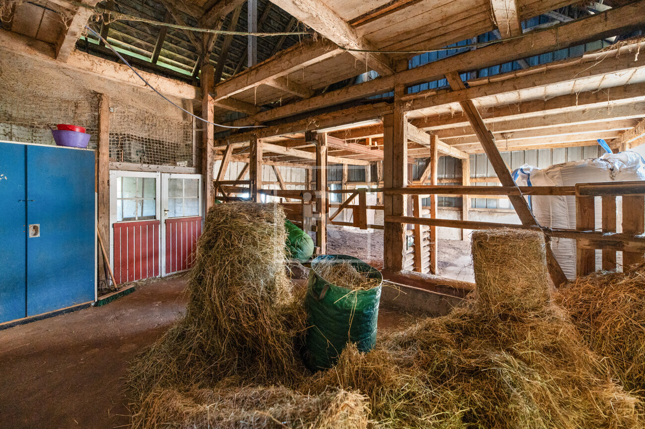 Stall
