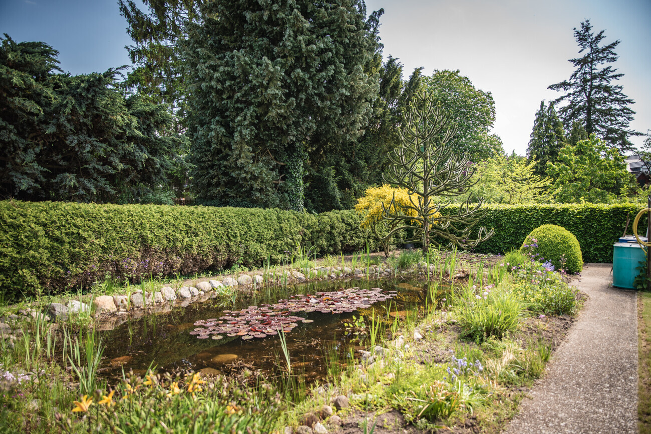 Gartenteich