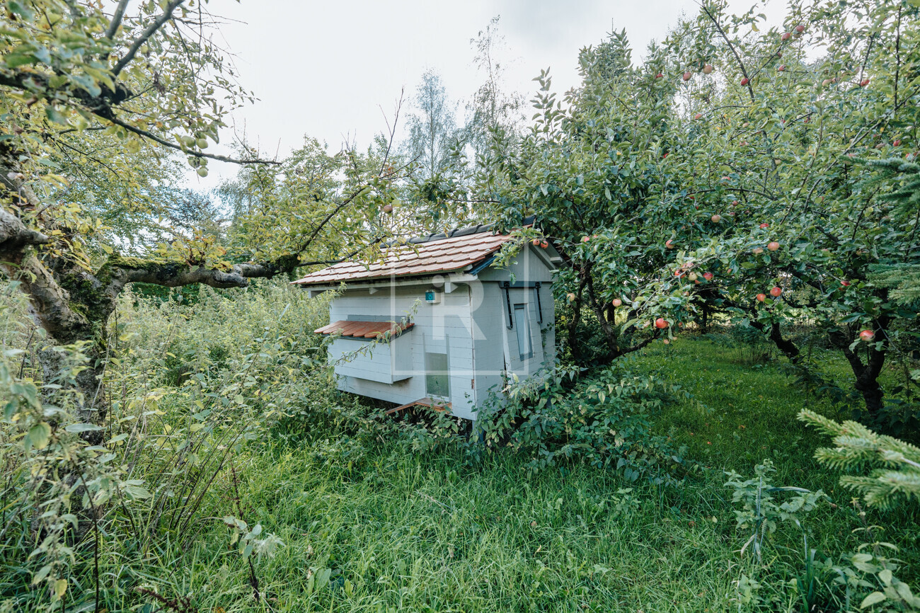 Neuer Hühnerstall