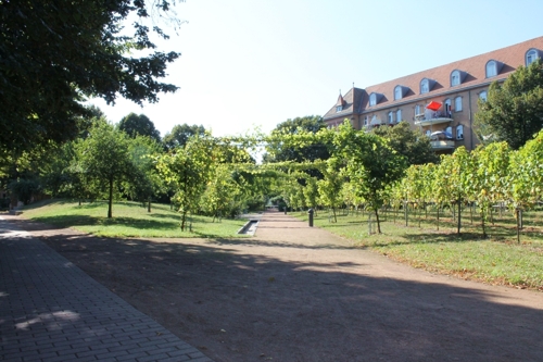 Innenhofbereich Ansicht 