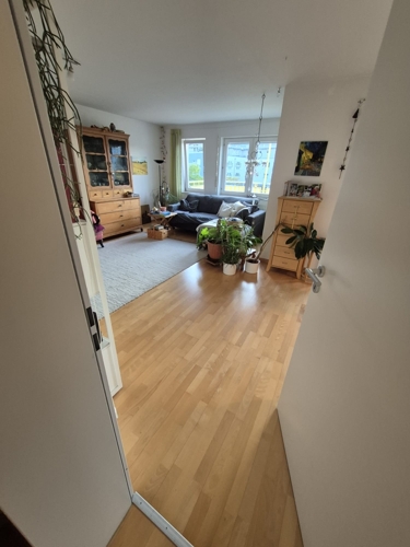 Wohn-Ess-Küchenbereich 