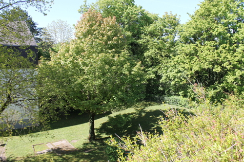 Viel Grün