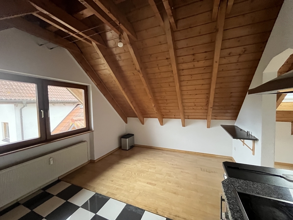 ***Hartheim a.Rh.:Schicke 2 Zi.DG -Whg. mit EBK u. TG,Balkon zu vermieten*** - Foto 3