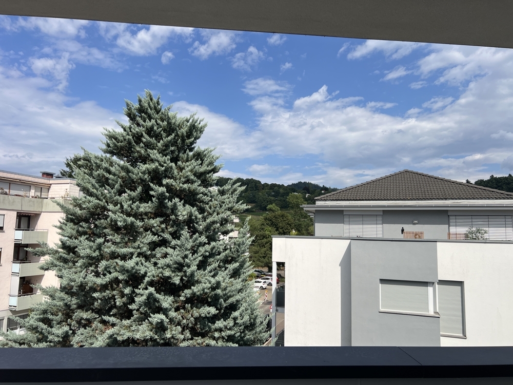 Penthouse Neubau Erstbezug in Merzhausen, 4 Fußminuten zur Straßenbahn - Foto 5