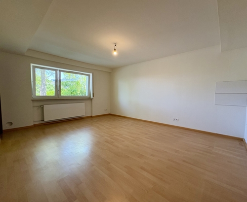 Wohnzimmer/Küche (3) EG