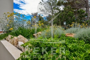 Das mediterrane Grundstück der Luxus-Villa bietet eine abwechselungsreiche Flora und Fauna.