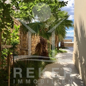 Schöne Palmen säumen das Grundstück der Luxus-Villa-