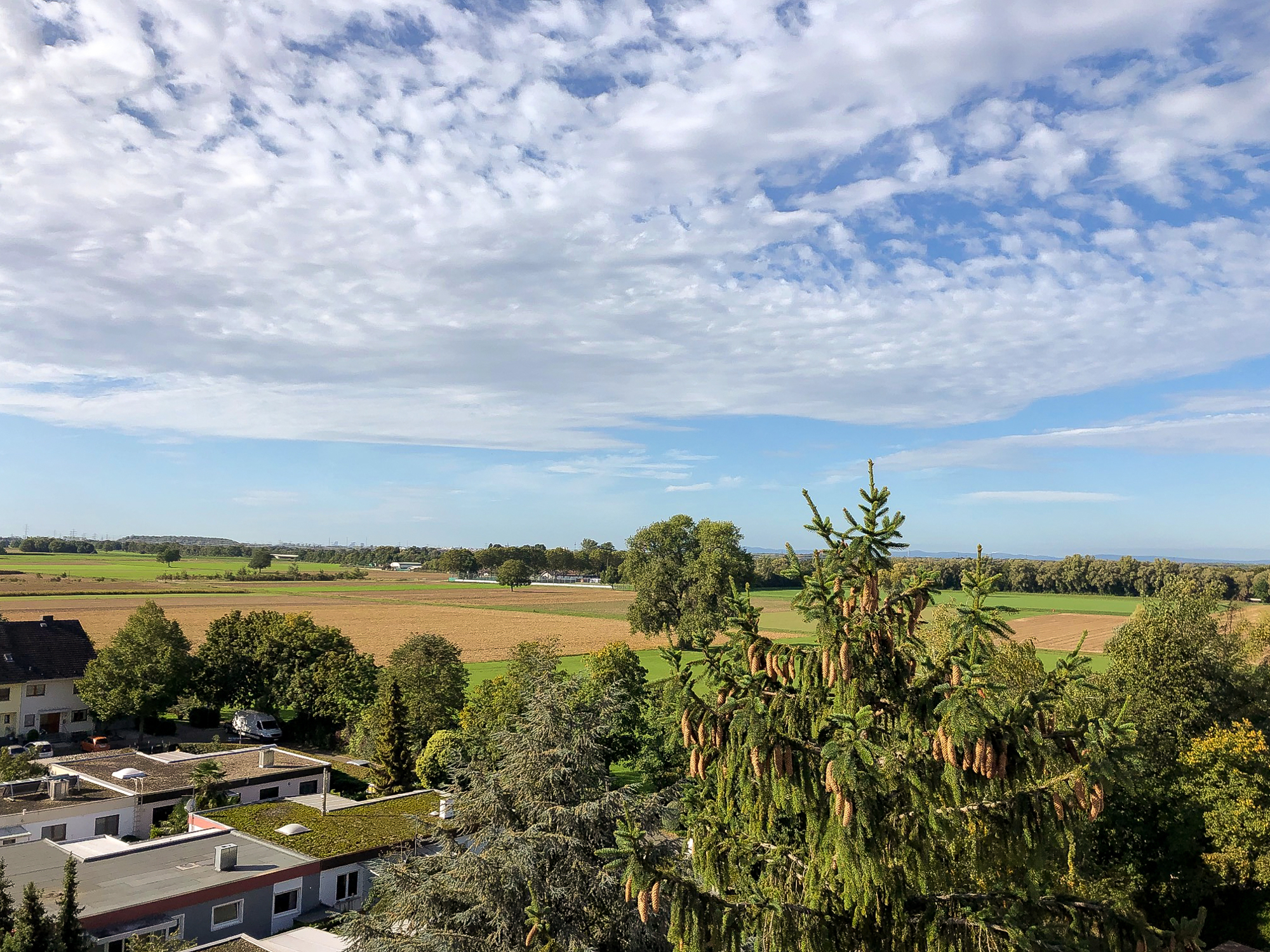 Ausblick