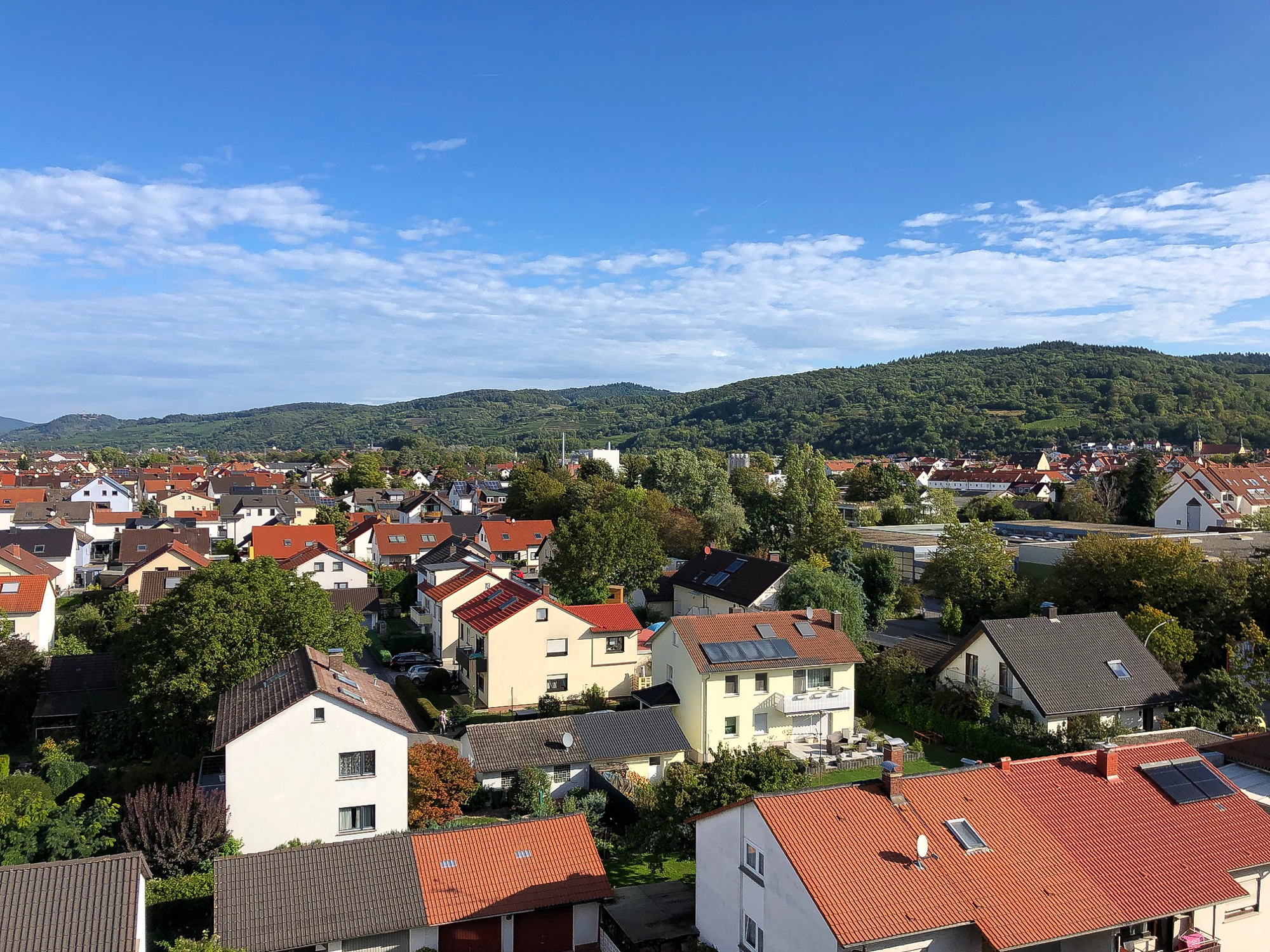 Ausblick