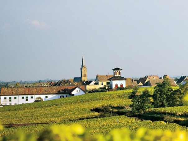 Bild1