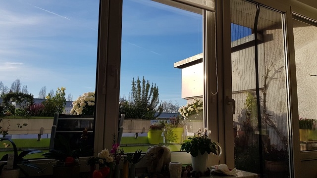 Blick vom Wohnzimmer