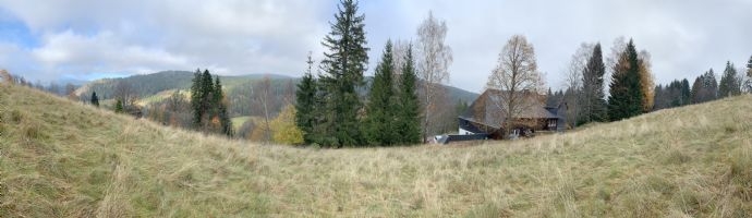 Bild 49.jpg