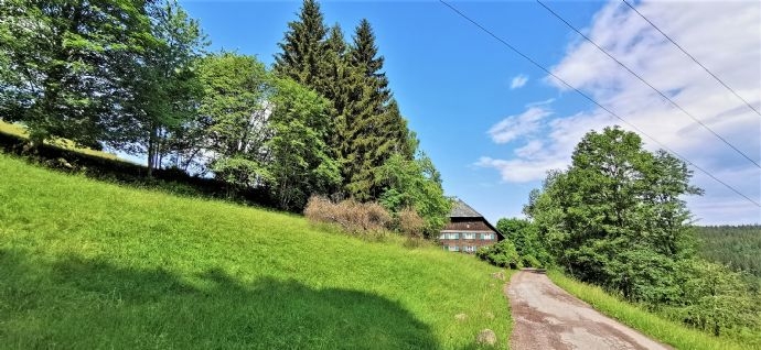 Bild 45.jpg