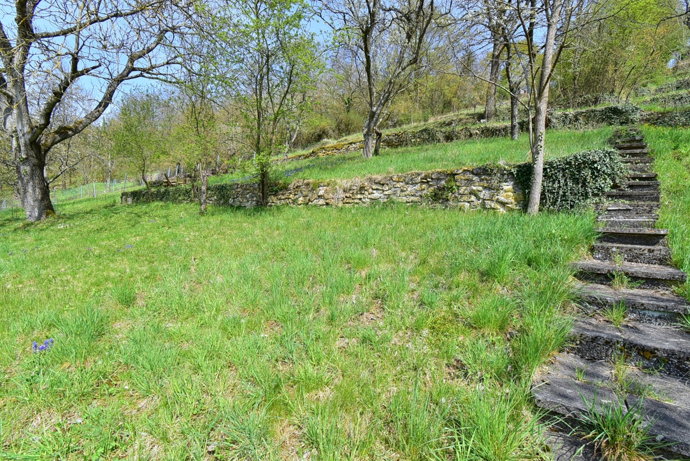 Gartenfläche