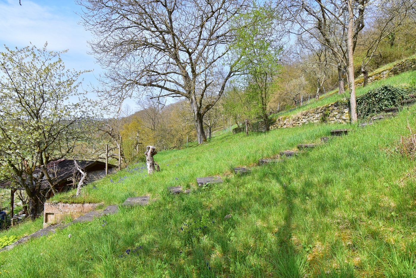 Gartenfläche