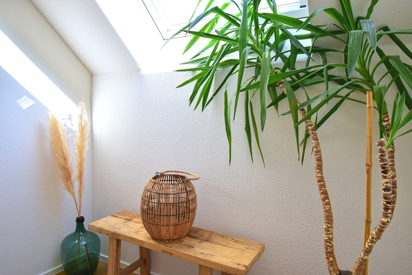 Detailbild