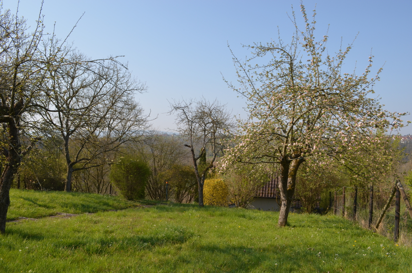 Garten oberhalb des Hauses