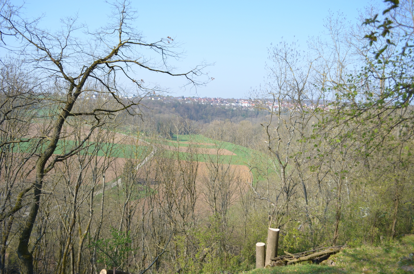Ausblick