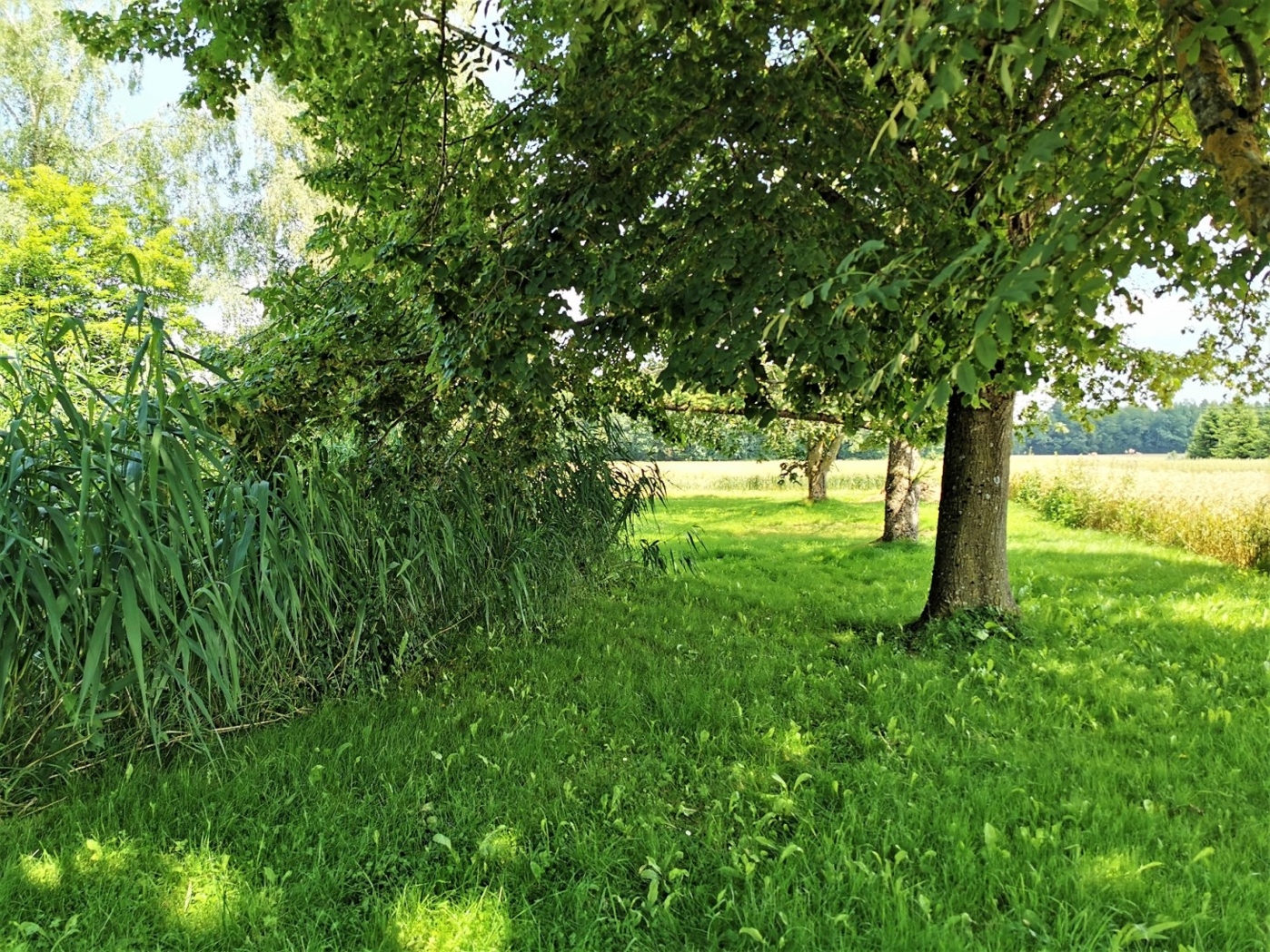 Garten Biokläranlage