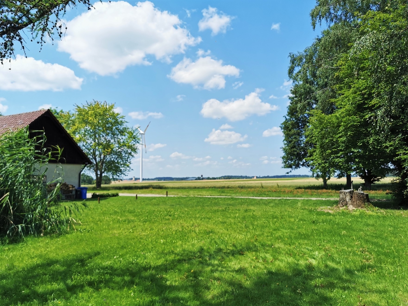Garten Blick nach Norden