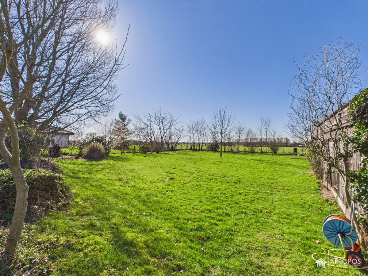 Grünfläche Ansicht 2