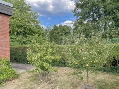 NEU zum Verkauf in Marl - Bungalow - Garten II- Reuter Immobilien – Immobilienmakler (2)