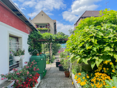 NEU zum Verkauf in Herne Crangel - Mehrfamilienhaus - Garten - Reuter Immobilien – Immobilienmakler (2)