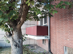 NEU zum Verkauf in Herne Crange - Eigentumswohnung- Balkon - Reuter Immobilien – Immobilienmakler