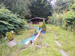 NEU zur Vermietung in Bochum - Gerthe - Garten - Reuter Immobilien – Immobilienmakler