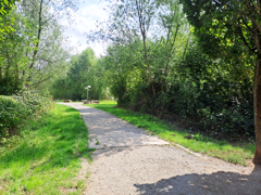 NEU zur Vermietung in Bochum - Gerthe - Parkansicht - Reuter Immobilien – Immobilienmakler