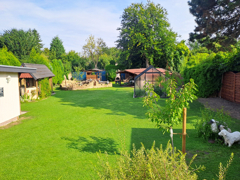 NEU zum Verkauf in Castrop-Rauxel - Einfamilienhaus - Blick in den Garten - Reuter Immobilien – Immobilienmakler